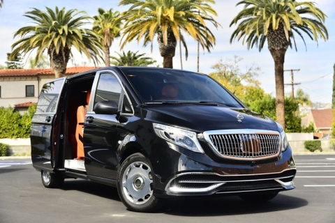 mercedes metris luxury van for sale